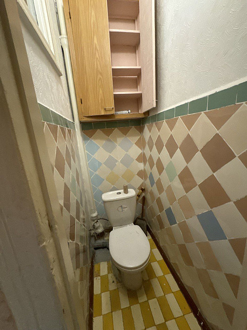 10 тыс. 3-шка Центр Можно с животными Вокзал Озерка Днепр - изображение 8