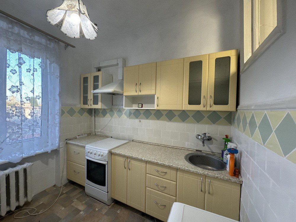 10 тыс. 3-шка Центр Можно с животными Вокзал Озерка Днепр - изображение 3