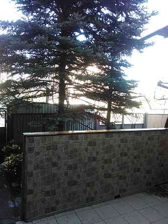 Терміново здам 1/2 дома з індивідуальним входом від власника Запорожье