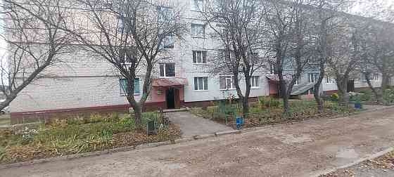 Продам большую 1к.кв в Солоницевке Солоницівка