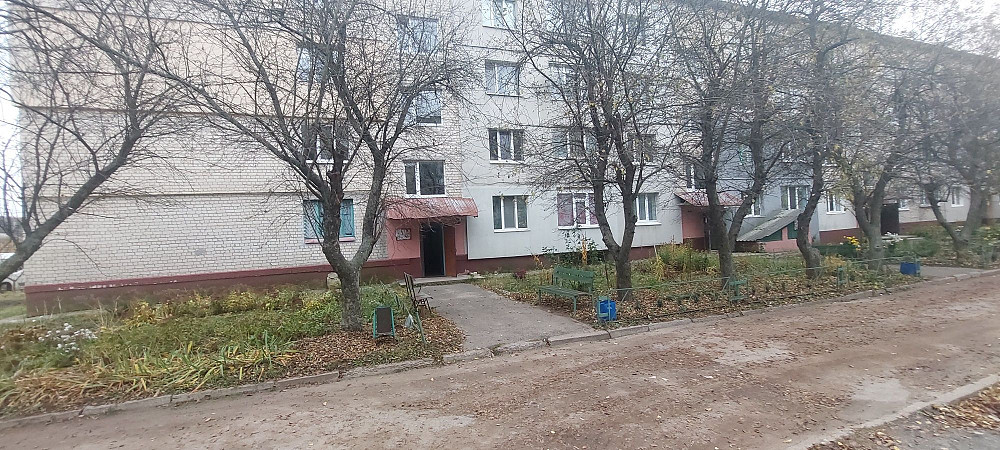 Продам большую 1к.кв в Солоницевке Солоницівка - зображення 1