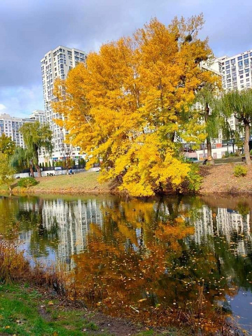 Здам 2х двокімнатну квартиру, ЖК Венеція, Кішки 12А, 73 мкв Киев - изображение 3