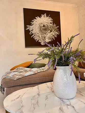 1 к/квартира Боголюбова 20 Софія Сіті Резиденція Волошковий Київ Софіївська Борщагівка