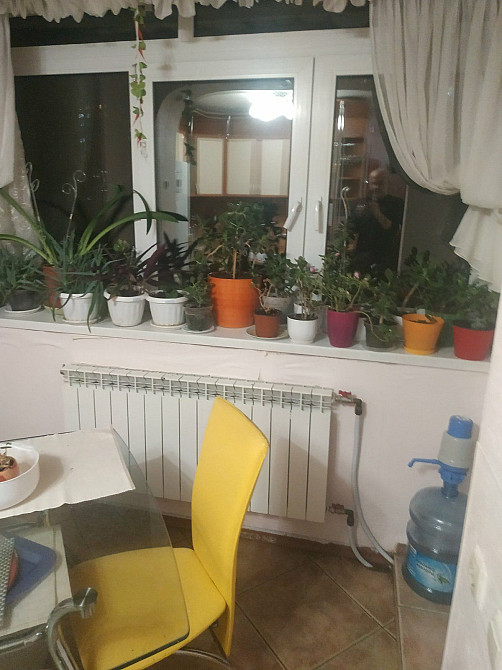 Сдам 1-к.квартиру,срочно Киев - изображение 4