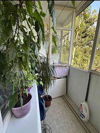 Гостинка , и для жизни и для аренты , топ ! Черноморск