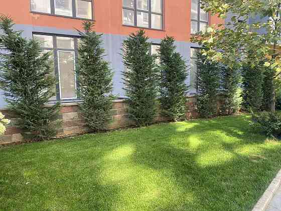 Продам квартиру с террасой Одесса