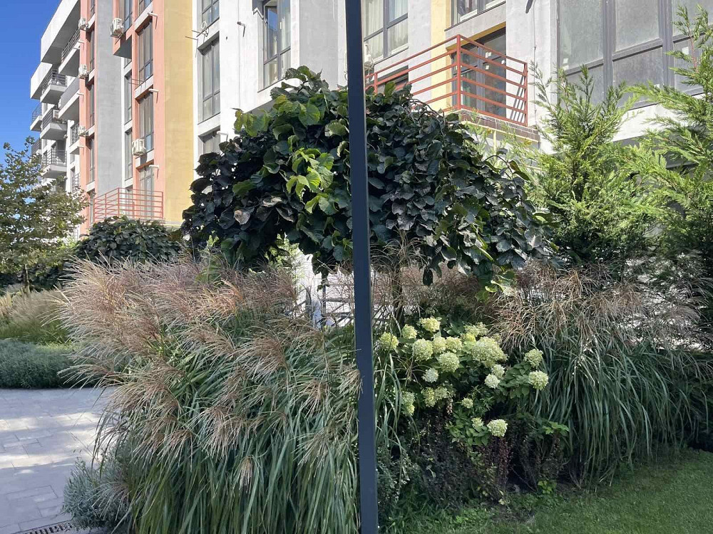 Продам квартиру с террасой Одеса - зображення 1