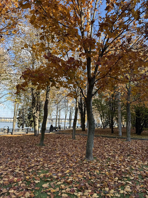 Продам квартиру ЦЕНТР, 2 комнаты сталинка, вид на Днепр, укриття Дніпро - зображення 3