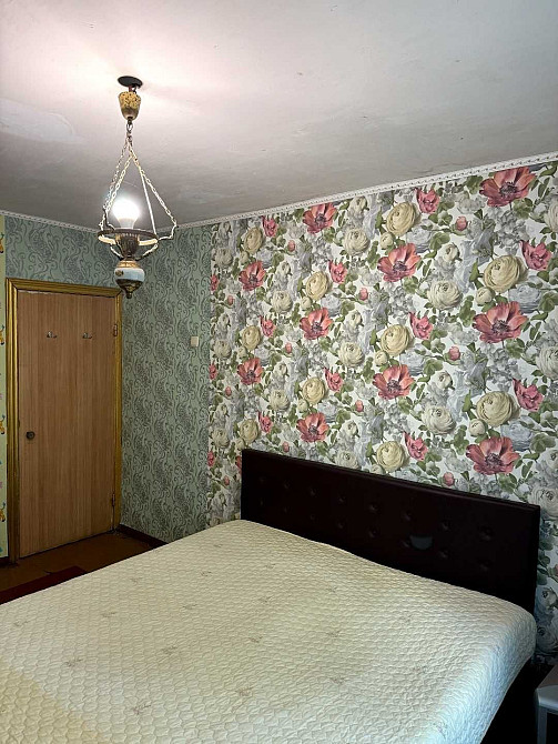 Здам 2 кімнатну на Борщагівці. Киев - изображение 1