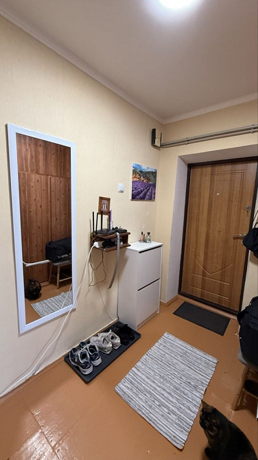 3-кімнатна квартира 61.7м2 Андрушівка - зображення 2