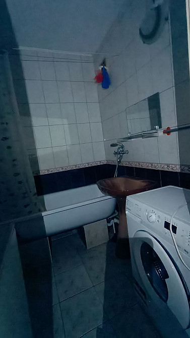 Можна з тваринками!Масани Чернігів - зображення 8