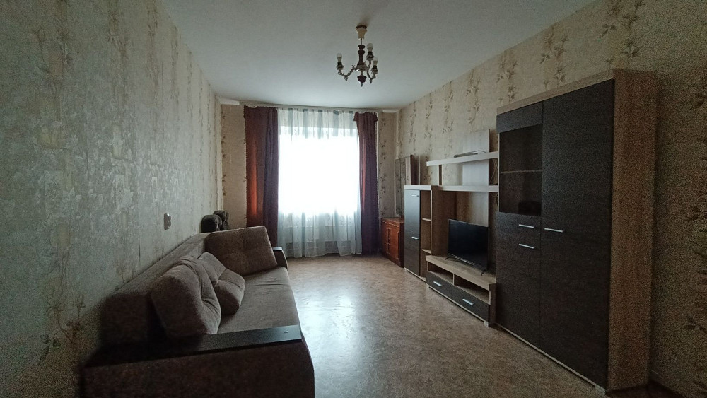 Можна з тваринками!Масани Чернігів - зображення 3