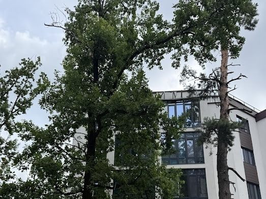 1к.квартира б/р державні програми  так. Ирпень - изображение 1