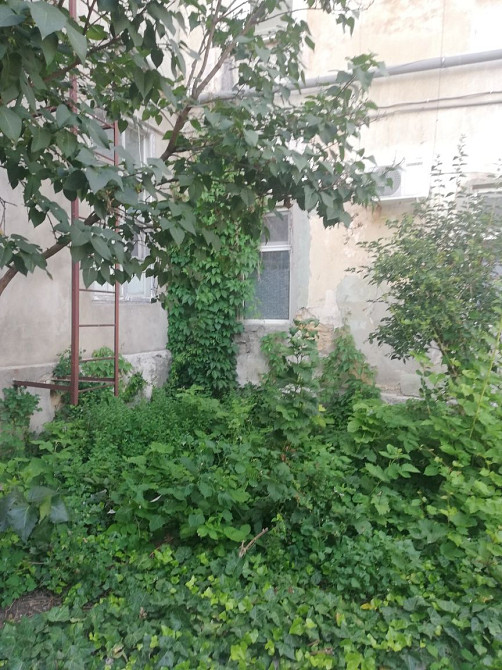 Здам  1кімнатну квартиру-студію  м. Білгород-Дністровський Одесса - изображение 4