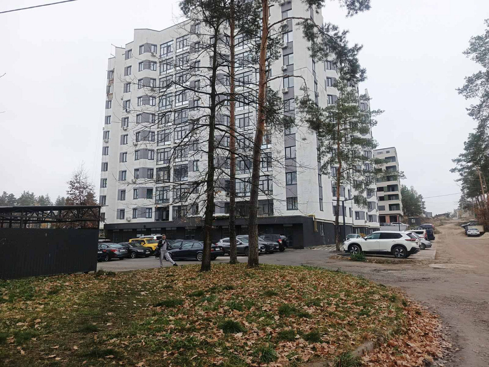 ЖК Авіатор Гостомель (початок) ГАЗ автономне опалення, транспорт поруч Гостомель - зображення 8