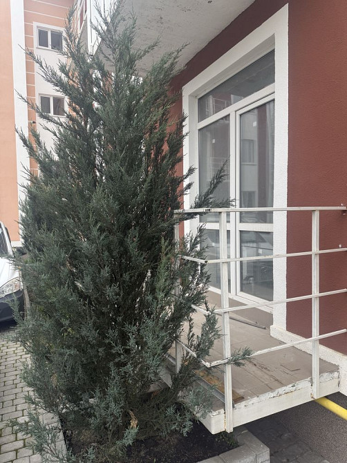 1 - кімнатна квартира. Від власника! ЖК Амстердам. Білогородка (Київська обл.) - зображення 3