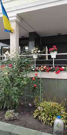 Здаю в оренду однокімнатну квартиру ЖК "Паркові озера" Киев