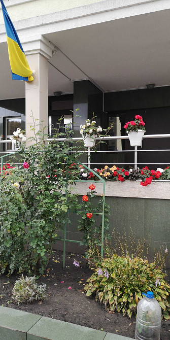 Здаю в оренду однокімнатну квартиру ЖК "Паркові озера" Київ - зображення 2