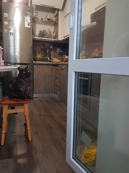 Однокімнатна квартира з балконом-кабінетом в ЖК «Петрівський квартал» Святопетрівське (Києво-Свят.р-н) - зображення 6