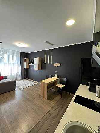 Оренда 1-к ЖК Грюнвальд Академмістечко Киев