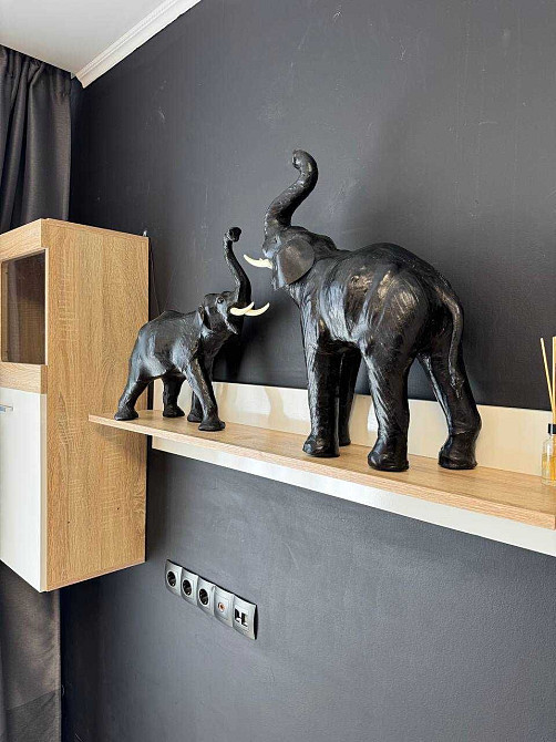 Оренда 1-к ЖК Грюнвальд Академмістечко Киев - изображение 4