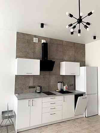 Оренда просторої квартири-студії на вулиці Стрийській Львов