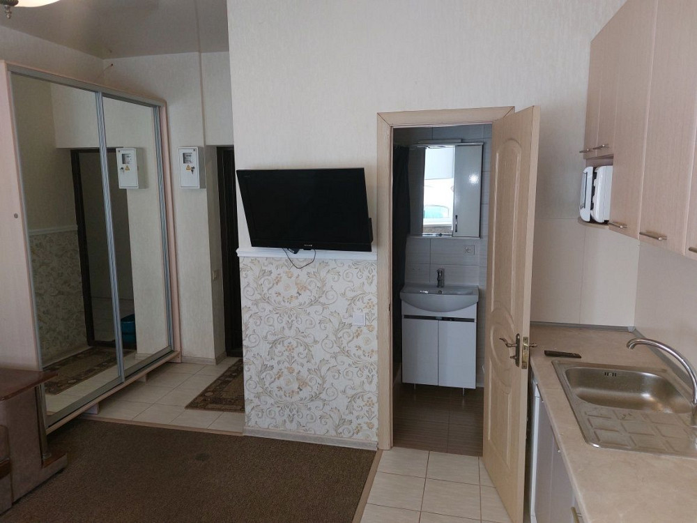 Сдаю однокімнатну  квартиру на Софіївській Борщагівці Софіївська Борщагівка - зображення 7