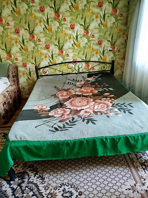 Здам 1-кім в Центрі Кременчук - зображення 7