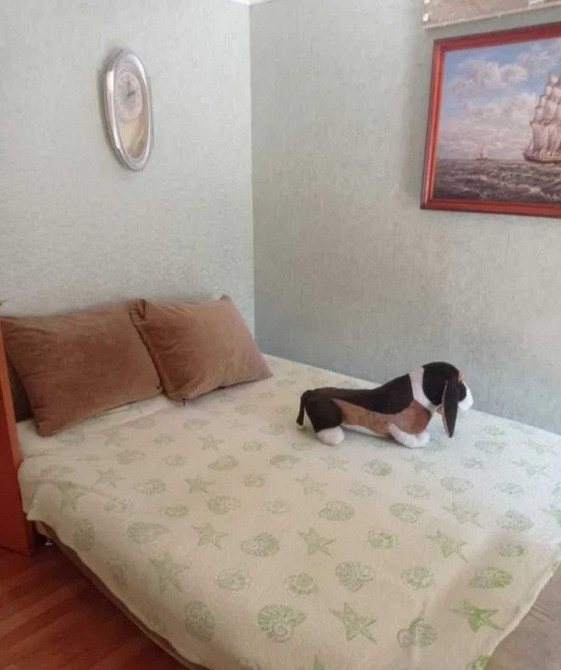 Аренда 2к кв смежка ул Разумовская/АТБ,газ.котел не зависит от света Одесса - изображение 5