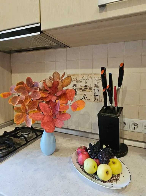 Продам 3к квартиру на ж/м Победа-2 Дніпро - зображення 5