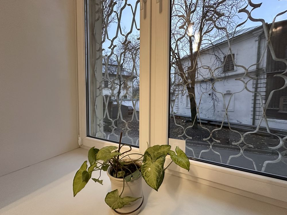 Стрілецька 6/7, метро Золоті ворота. Центр, 1к кв. Київ - зображення 7