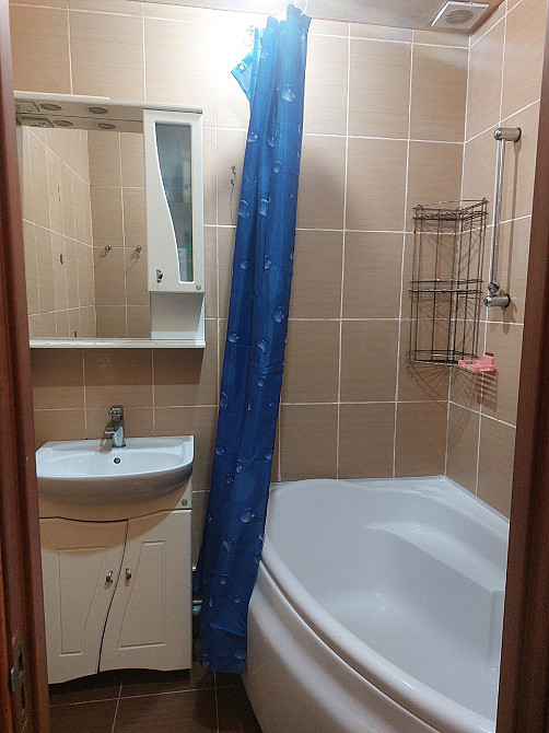 Оренда 2-х з газовим автономним опаленням,лівий берег Кам`янське (Запорізька обл.) - зображення 6