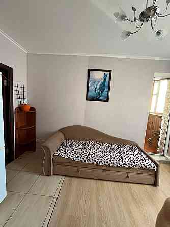 Здам 1 кімнатну квартиру, Лисківська. Можна з тваринами. Киев