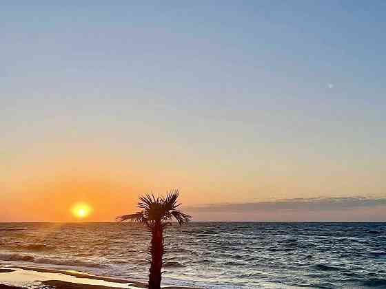 Долгосрочно. ЖК "Калипсо". 13 ст. Б. Фонтана.
Первая линия от моря. Одеса