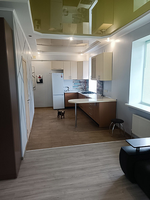 оренда однокімнатної студії в центрі на короткий термін 1-2 місяця Житомир - зображення 1