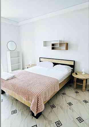 26 жемчужина Аркадия можно с животнымм Одеса