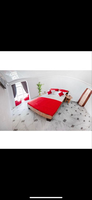 26 жемчужина Аркадия можно с животнымм Одеса - зображення 3