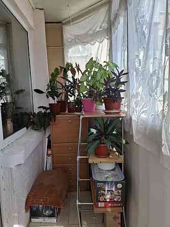 Продам 1-комн. квартиру Инглези/Сити центр (184-2590 Одеса