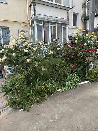 1 кім.квар. в Черноморкі.Новий будинок 48 м2. з ремонтом. Держпрограми Чорноморка