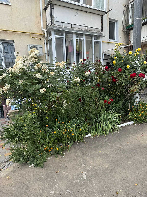 1 кім.квар. в Черноморкі.Новий будинок 48 м2. з ремонтом. Держпрограми Чорноморка - изображение 6