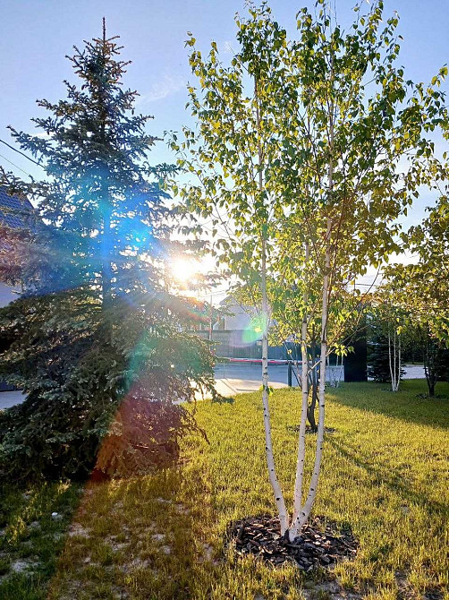 • Однокімнатна квартира  • 32м2 • в зданому будинку • Без % Святопетрівське (Києво-Свят.р-н) - зображення 8