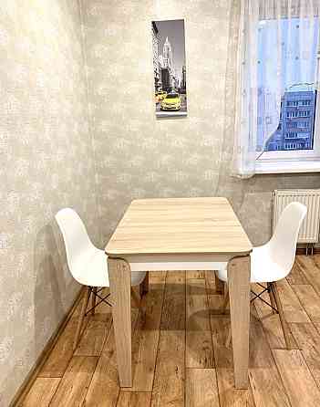 1 комн квартира Пески Zaporizhzhia