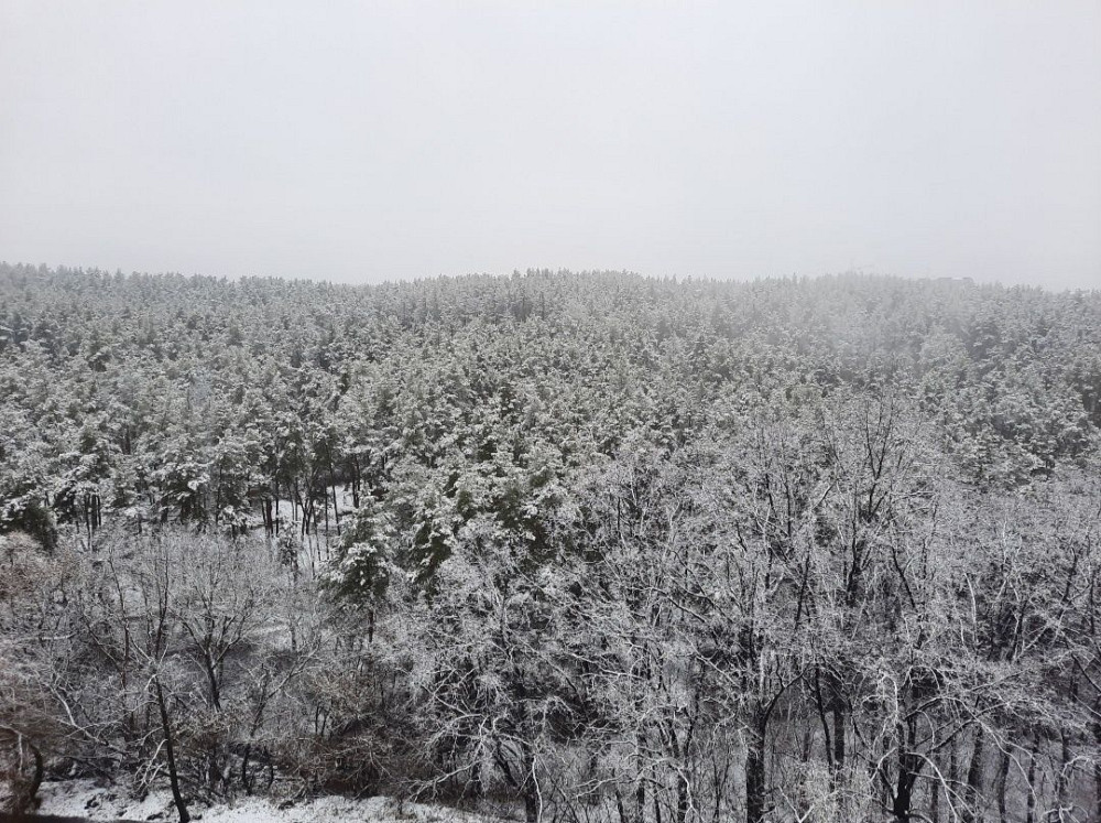 Оренда 3-кім. квартири Obukhiv - photo 1