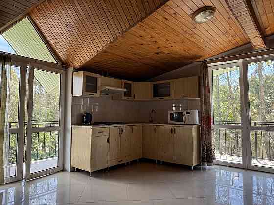 Оренда 1 кім квартири в приватному будинку бічна Виговського Lviv