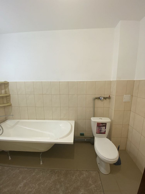 Здам 1-кімн. Лівий берег. Крупногабаритна. Кам`янське (Запорізька обл.) - зображення 7