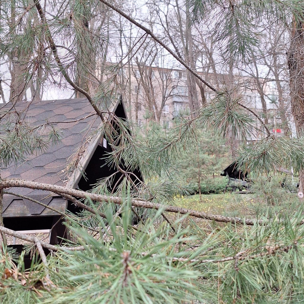 Сдам в аренду 3-х ком квартиру Парковая зона Днепр - изображение 6