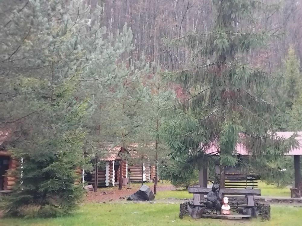 Оренда в ЖК WOL GREEN POLYANA  Закарпатської області Ясна Поляна - зображення 6