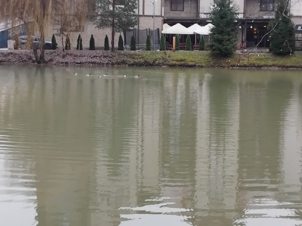 Оренда в ЖК WOL GREEN POLYANA  Закарпатської області Ясна Поляна - зображення 5