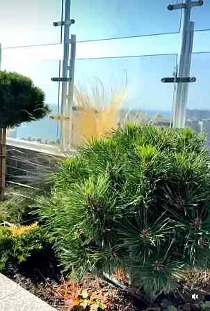 Евро двушка в ЖК Атмосфера секция сдана . Просмотр по договоренности. Одеса