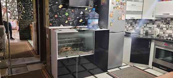 Здам Однокімнатну квартиру Khmelnytskyi